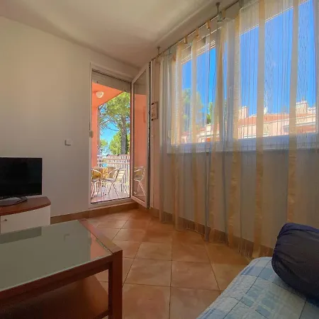 בית הארחה Vesna S Novigrad Istria